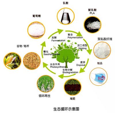 食布同源聚乳酸帶火常規(guī)無紡布 生物降解更健康