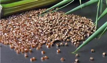 全面解讀2018年全球生物塑料市場(chǎng)情況