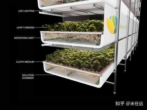 農(nóng)學(xué)專(zhuān)業(yè)在中國(guó)有什么未來(lái)