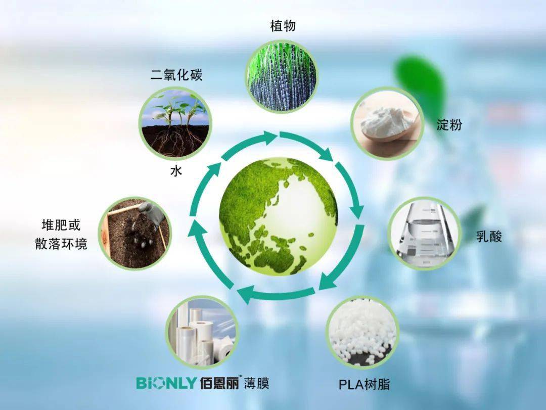 iPhone 13棄用傳統塑料膜，消費電子包裝材料迎來升級換代