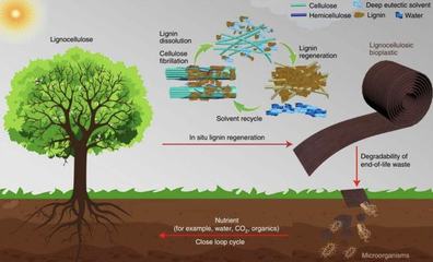 取于自然用于發(fā)展 生物基材料引領(lǐng)未來市場新趨勢